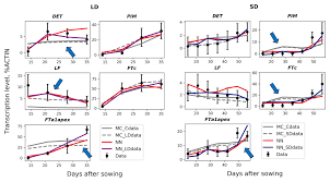 We did not find results for: Frontiers Dynamical Modeling Of The Core Gene Network Controlling Transition To Flowering In Pisum Sativum Genetics