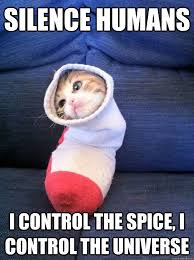 Silence Humans I Control The Spice I Control The Universe Sock Kitty Cute Animals Funny Animal Pictures Funny Animals