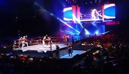 CMLL Wrestling