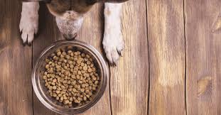 The best budget dog food can be good for your dog, and might be better than pricey ones. Best Dry Dog Food Vet Reviews Healthy Nutrition Thedogdigest