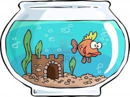 Aquarium Clipart Google Search Fish Vector Cartoons Vector Vector Graphics Design