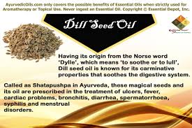 dill seed oil essential oil