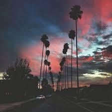 Photography Background Pictures Tumblr We have picked up themes that offer a variety of different features like grid layout, full screen layout, infinite scrolling, single column theme, multi column post display. photography background pictures tumblr