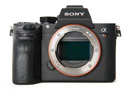 Got a name for him absbor? Sony A7r Mark Iii Review Digital Photography Review