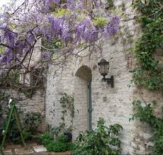 Diy Train A Wisteria Vine Not To Eat The House Gardenista Garden Visits Wisteria Wisteria Plant
