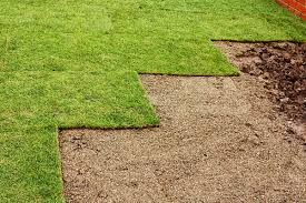 Maybe you would like to learn more about one of these? Sod Installation How To Find Sod Near Me And Grow Grass