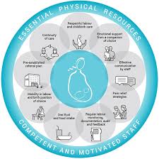 Who Making Childbirth A Positive Experience