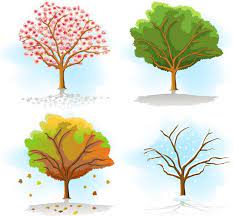 Each Season Brings With It Its Own Energy And Purpose Learn How To Align Yourself With These To Experience Positive Tree Drawing Four Seasons Art Four Seasons