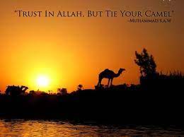 Shouldn't the translation be 'tie your camel, and then trust in allah'? Tie Your Camel Seasonsali