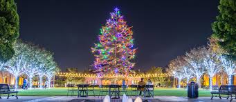 Commercial LED Christmas Lights