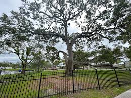 City of Tarpon Springs, Florida