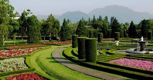 The garden desain interior dan suasana merupakan salah satu faktor yang dinilai oleh kebanyakan pengunjung ketika hendak mampir ke suatu cafe. 5 Destinasi Wisata Bertema Taman Bunga Yang Menarik Untuk Dikunjungi Okezone Travel