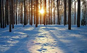 El hemisferio norte da hoy la bienvenida oficial al invierno. Solsticio De Invierno Hoy Es La Noche Mas Larga Del Ano