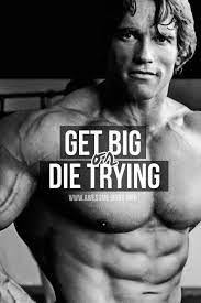 Arnold Schwarzenegger Bodybuilding Wallpapers Posters And Pi Schwarzenegger Bodybuilding Arnold Schwarzenegger Bodybuilding Bodybuilding