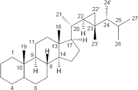 Steroide haben zwei biologische hauptfunktionen: Steroide