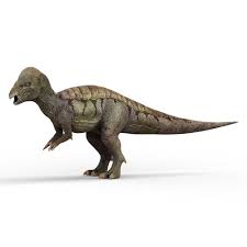 Dino Fun Facts | The Dinosaur Museum