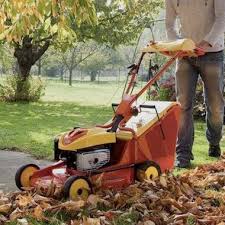 Outils Wolf Materiels De Jardin Le Ho Motoculture A Pontivy Morbihan