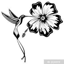 Größte auswahl temporäre & klebetattoos in der welt (>4,000 topdesigns) wählen sie ihre klebetattoos, fake tattoos, temporäre tattoos online. Poster Kolibri Und Hibiskus Tattoo Pixers Wir Leben Um Zu Verandern