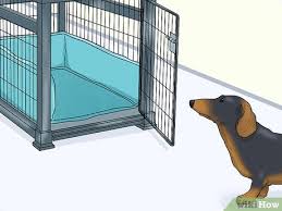 How to kennel train a dog. 6 Ways To Crate Train Your Dog Or Puppy Wikihow Pet