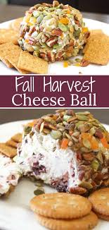 Harvest Cheese Ball Recipe Healthy Appetizer Recipes Recipes Cheese Ball Recipes