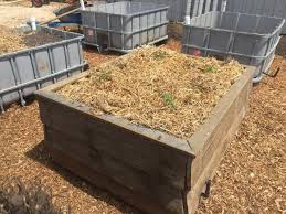 building a wicking bed sophies patch sophie thomson wicking beds wicking garden bed watering raised garden beds