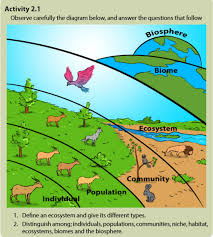 Temperatures may range up to 55�c throughout the daytime in summers. Course S6 Biology