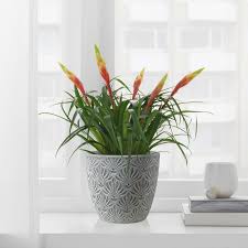 Salpeter Ubertopf Blatt Blau Ikea Deutschland In 2020 Ubertopf Ikea Ikea Deutschland