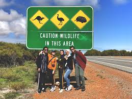 Plus air asia, malindo & malaysia airlines ada. 4 Sebab Kenapa Anda Perlu Bercuti Di Perth Australia Barat Sebab Ketiga Paling Best Gempak