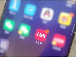 Unlocking the Power of the Little Red Book | BlueVision