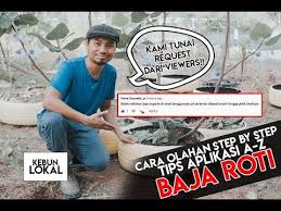 Baja adalah logam paduan, logam besi yang berfungsi sebagai unsur dasar dicampur dengan beberapa elemen lainnya, termasuk unsur karbon. 13 Kompos Ideas In 2021 How To Make Compost Straw Bale Gardening Organic Gardening Soil