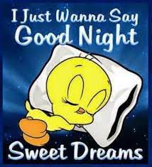 101 Good Night Memes I Just Wanna Say Good Night Sweet Dreams Good Night Funny Good Night Quotes Cute Good Night