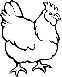 Untuk mengunduh file gambar atau men download gambar mewarnai ayam betina di atas. Gambar Mewarnai Ayam Terbaru Gambarcoloring