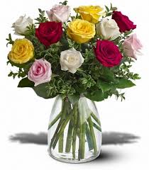 How to keep your houseplants clean and extend their lifespan! Ruby S Leesville Florist Leesville La Florist Flower Shop In Leesville