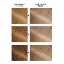Whether you have black hair, brown hair, blonde hair or something in between, you can achieve a brighter look in just one treatment. Garnier Nutrisse Blonde Aphrodite Light Blonde 9 Permanent Hair Dye Wilko