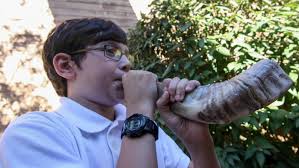 Jewish Delawareans celebrate tradition, future