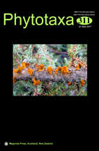 Image result for Warneckea cordiformis