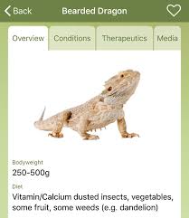 As vets we deal with people from all walks of life, some who love their pets more than anything and some. App For Vets Offers Exotic Pet Guidance Vet Times