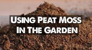 Check spelling or type a new query. Peat Moss Our Guide On Using Sphagnum Peat In Your Garden