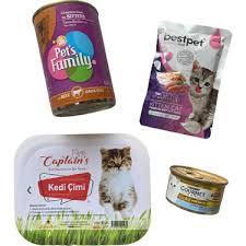 Pets Family Yavru Kedi Baslangic Seti 4 Lu Fiyati