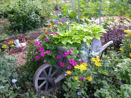 We did not find results for: Wheelbarrow Planter Ideas Garden Yard Pictures Designing Idea