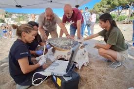 Xehli g trasando i will repeat though will also make sure