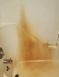 Check spelling or type a new query. Cleaning Products To Make Your Bathroom Feel Brand New