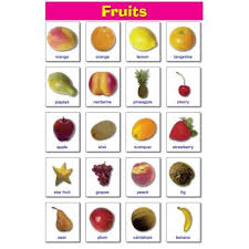 Fruits Educational Laminated Chart