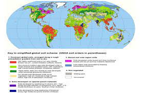 Delineation of the spatial and statistical factors affecting the accumulation and loss of nitrogen and organic carbon in cropped soils 1. Soil Formation And Geography