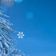 2025 Holiday Tutu Trot- Fun Walk/Run Under the Holiday Lights at Krug Park