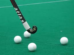 There are many types of hockey such as bandy, field hockey, ice hockey and rink hockey. Hockey India Suspends 11 Players After Nehru Cup Final Brawl Sportstar