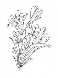 Freesia Flower Graphic Black White Isolated Sketch Stock Vector Sponsored Graphic Black Freesia Flower Ad Freesia Flowers Flower Graphic Freesia