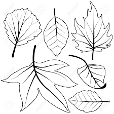 All you need is photoshop (or similar), a good photo, and a couple of minutes. Dry Autumn Leaves Vector Black And White Coloring Page Royalty Free Cliparts Vectors And Stock Illustration Image 131667731