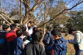 葉っぱの野外観察 ほうれん草の色素 葉っぱのしおりづくり 小学生 小学校理科教材ヒント