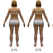 For example an eye to eye distance shouldn't be too large nor too small. Examples Of Stimuli Silhouettes Color Version Of Average Weight Woman Download Scientific Diagram